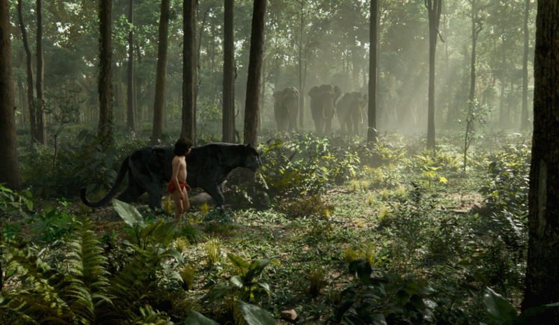 Illustration for article titled The Jungle Book Uses The Best Parts of the Animated Classic To Make Something Brand New